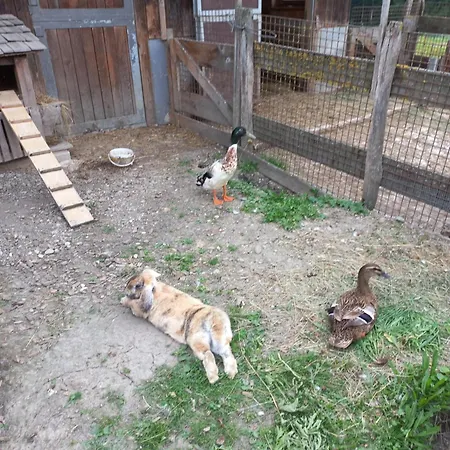 Riedhof-zuahaus Apartamento