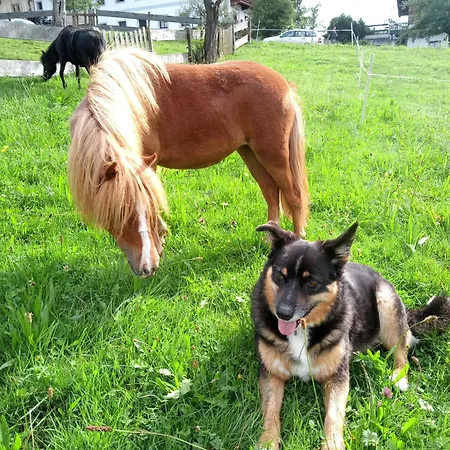 Apartamento Riedhof-zuahaus