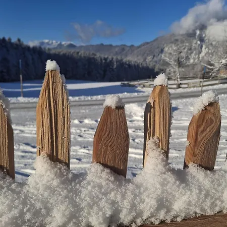 Riedhof-zuahaus Breitenbach am Inn