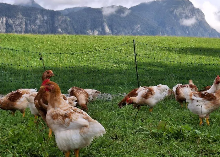 アパート Riedhof-zuahaus *