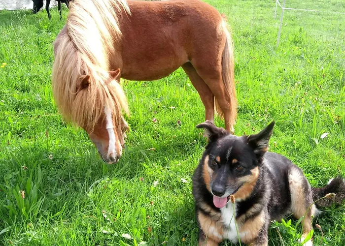 アパート Riedhof-zuahaus