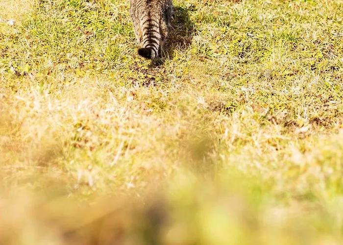 Riedhof-zuahaus アパート