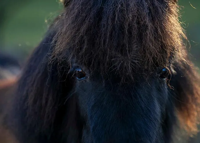 Riedhof-zuahaus * Breitenbach am Inn