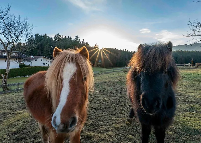 Riedhof-zuahaus アパート Breitenbach am Inn